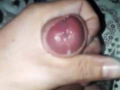 Cumshot dutch